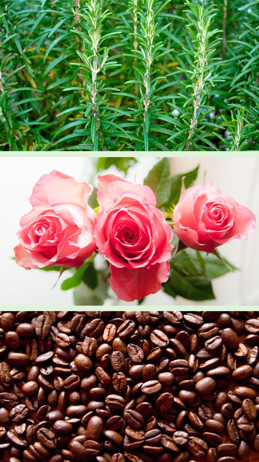 Bundle-3_Linien_neu